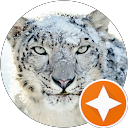 Jeff Wilhelm profile picture